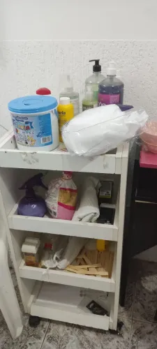 Carrinho auxiliar de rodinhas multiuso apenas 50