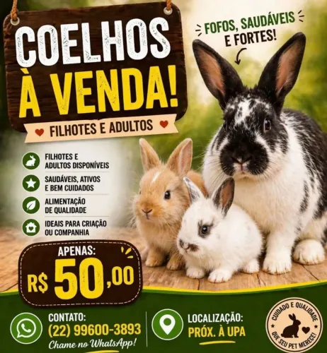 Coelhos filhotes e adultos, dóceis saudáveis excelente para pet ou criação