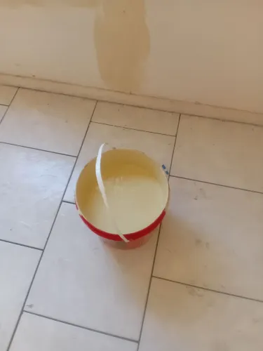 Limpeza De Condomínio e pintura