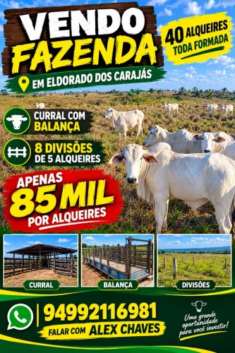 Vendo fazenda com 40 alqueires toda formada Curral com balança 8 divisões de 5 alqueires