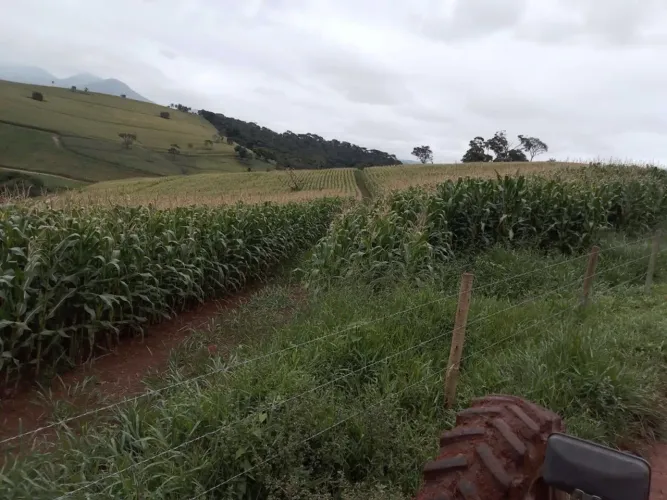 Fazenda com 130,80 hectares e curral completo em Itamonte - MG.