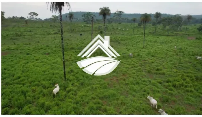 Fazenda para Venda em Araguaína, ampla expansão agropecuária