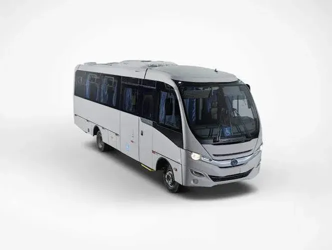 THUNDER BOY/WAY EXECUTIVO 1P (DIESEL) BEGE 2021/2021