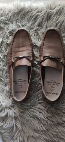 Mocassim democrata