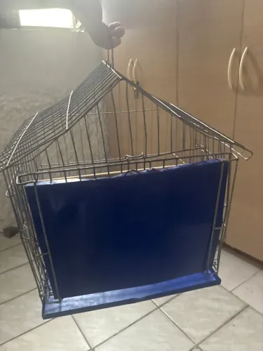 Gaiola de passarinho 