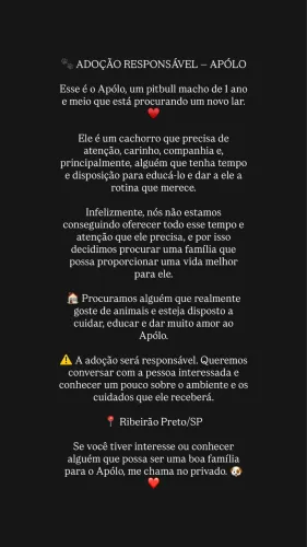 Doação Pitbull