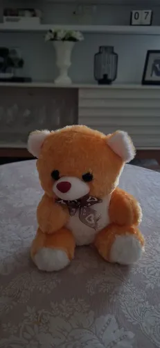 VARIAS PELÚCIAS FOFINHAS DE 5 A 20 REAIS