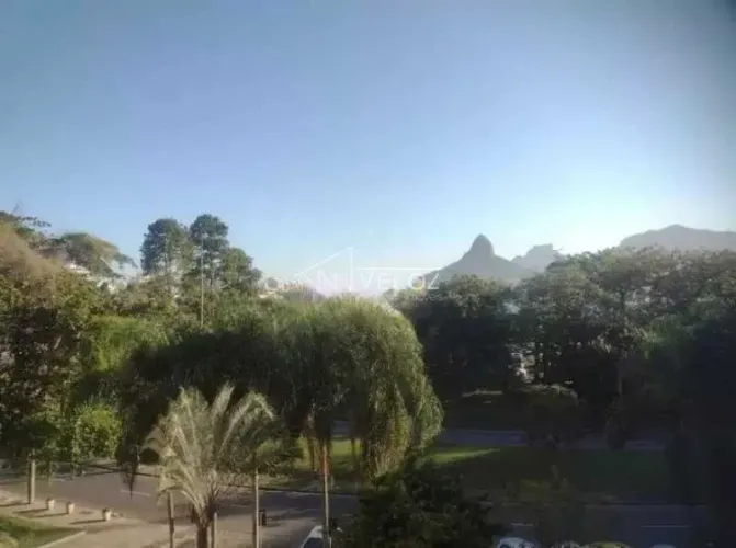 Apartamento : Padrão / Residencial / Lagoa