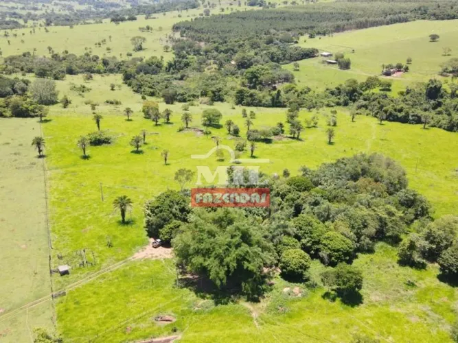 Chácara próximo a Goiânia. Área total: 3 alqueire ( 14.52 há)