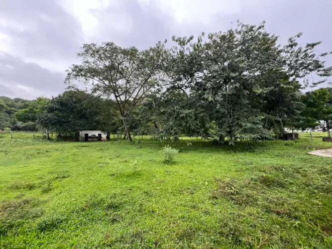 Sítio/Chácara para venda Guabiraba/Paulista