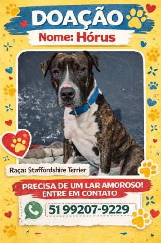 Cachorro Staffordshire
