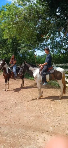 Cavalo piquira 2 anos puro na macha picada 