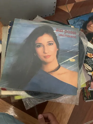 Disco Vinil Zizi Possi