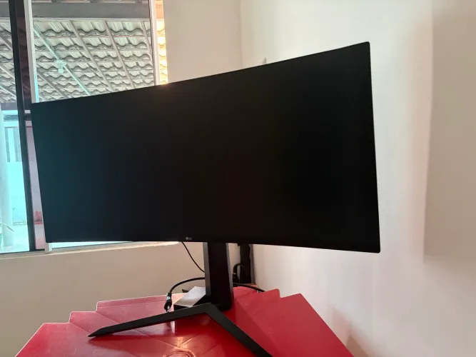 Monitor LG ultrawide (queimado)