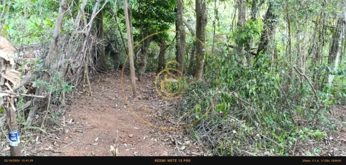 Terreno a Venda no bairro Ponunduva, localizado na cidade de Cajamar/SP