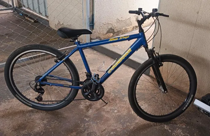 Bicleta