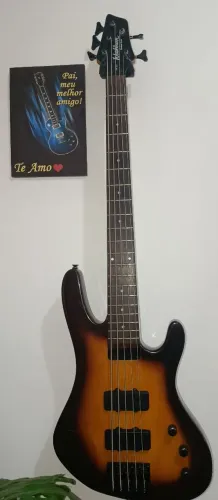 Vendo contra baixo washburn XB 125 5 cordas , ativo e passivo. 