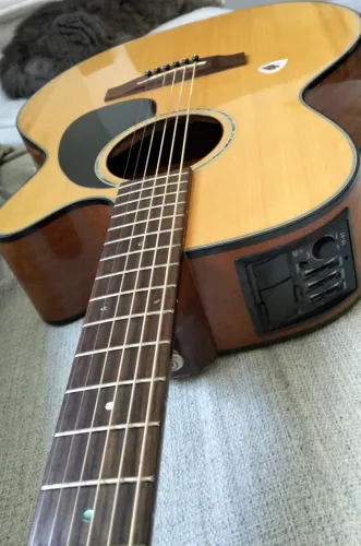 Violão takamine EG440C cordas elixir + regulado
