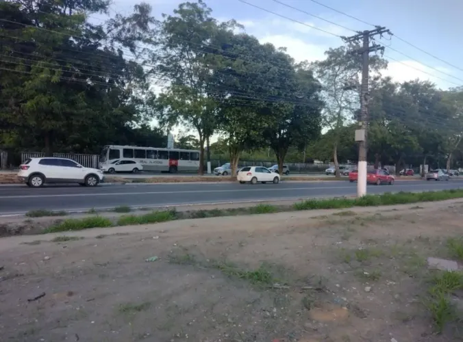 Excelente área plana, nascente, 50×200, totalizando 10.000 m², beira de pista, na principa