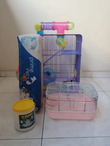 Kit hamster