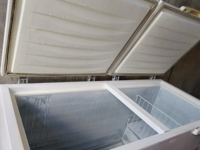 Estou vendendo freezer Eletrolux
