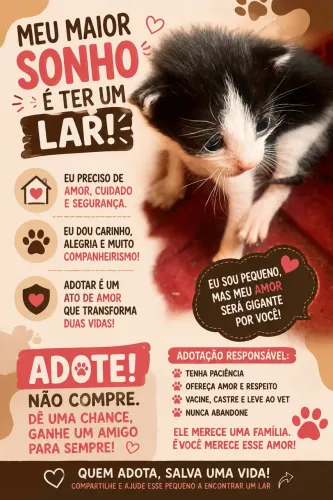 Adoção