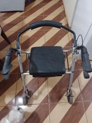 Andador com assento no Setor de Chácaras do Lago Norte