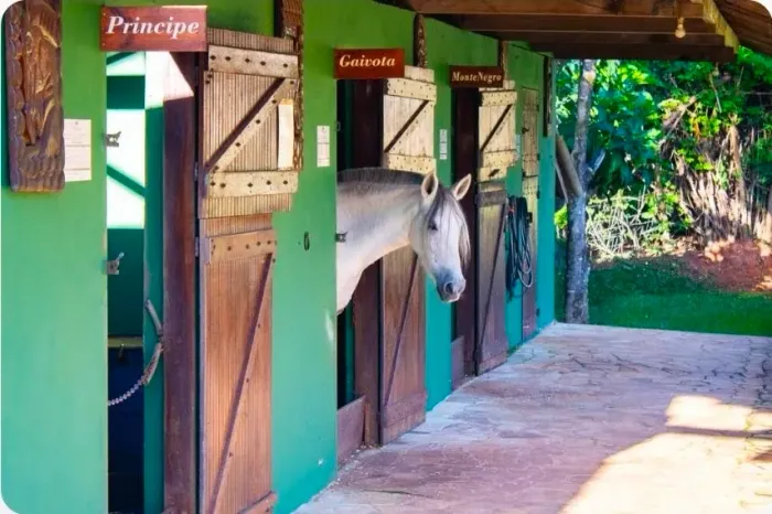 Vaga de emprego para serviço de caseiro, para trabalhar em hotel fazenda em igarape-MG 