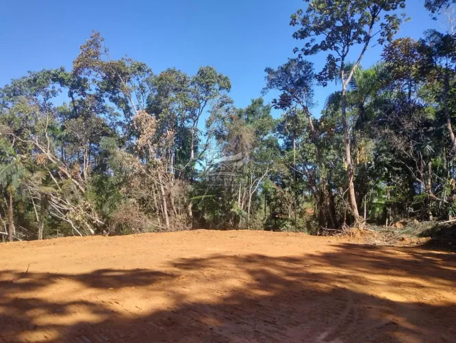 Terreno Rural para Venda em São Pedro de Alcântara, BARRO BRANCO