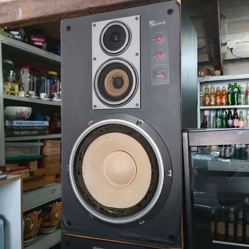 Caixas de Som Sony e Rack