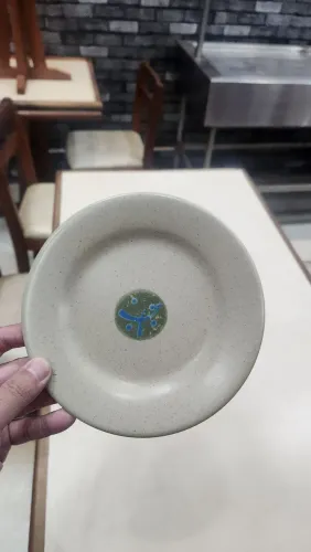 Pratos de Melanina Japonês 