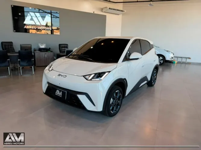 BYD Dolphin Mini (Elétrico) 2027