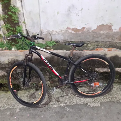 Bicicleta aro 29