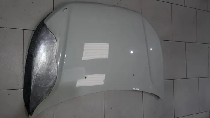 capo fiat toro