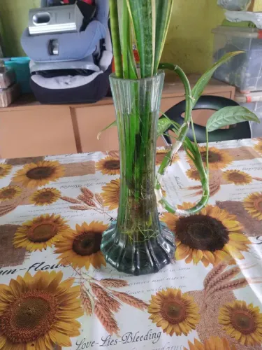 Vaso decorativo em vidro transparente