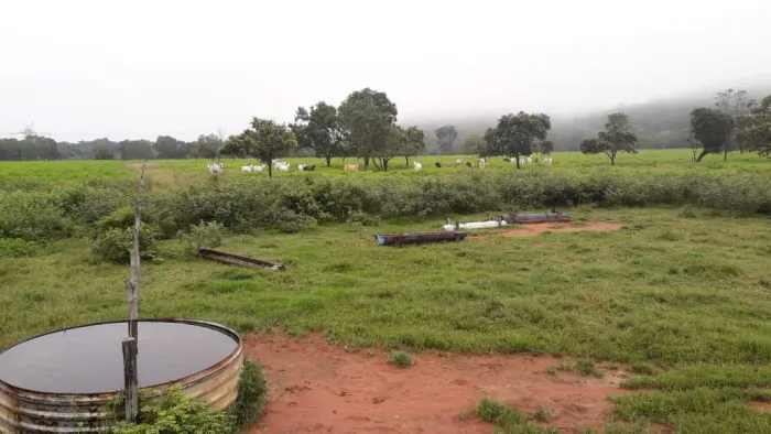Fazenda 2.700 hect em rosário do oeste MT. 1.500 em.pastagem 60 milhões.