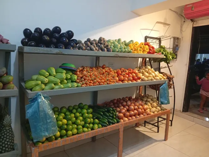 Equipamentos Hortifruti e casa do norte
