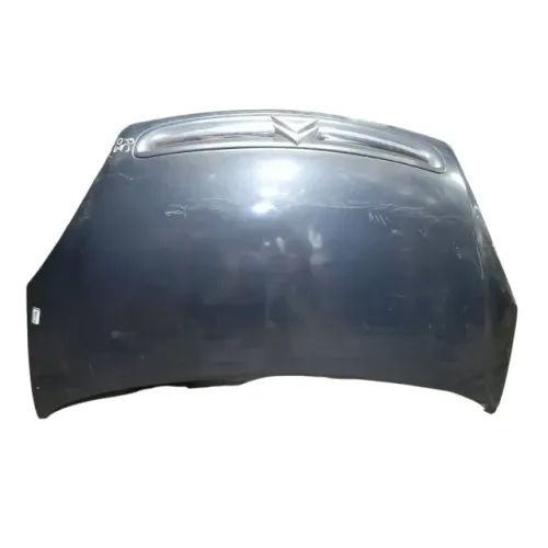 Capo xsara picasso 2000 2003 2005 detalhe 