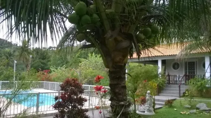 Sítio em Pedra de Guaratiba - direto proprietário