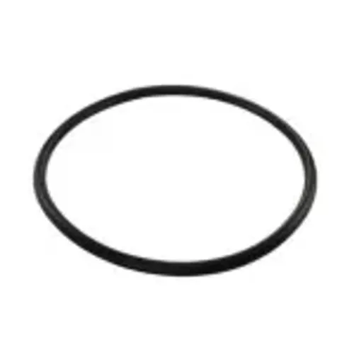 Guarnição Flange do Combustível da S10 2.4 8v Flex