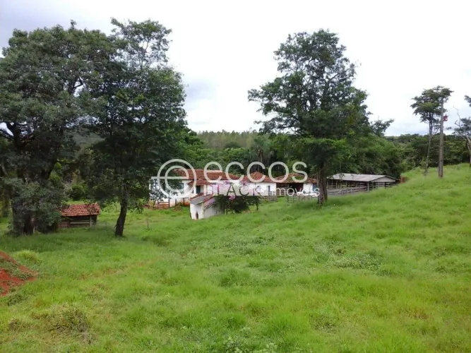 Fazenda à venda, Área Rural de Uberlândia - Uberlândia/MG