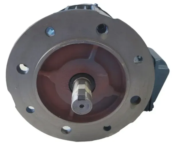 Motor WEG W22 Premium.