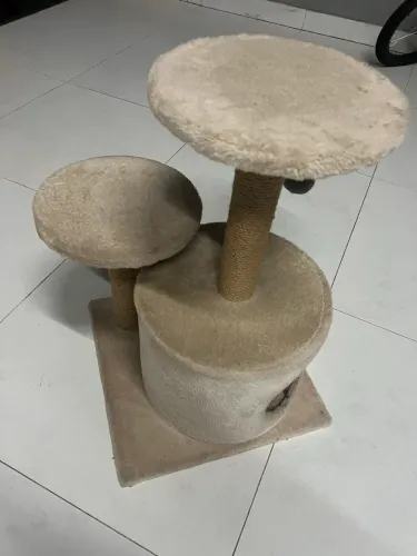 Cama para gatos