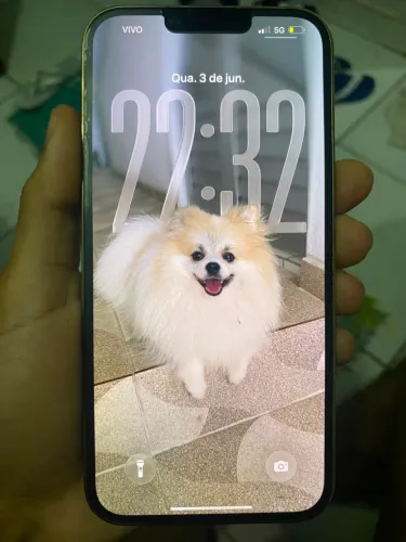 iPhone 13 Pro Max 