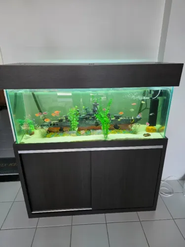 Aquário 1.2m (220L) completo em Caruaru