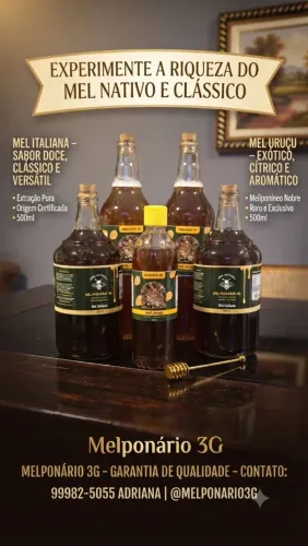 Venha aproveita o melhor que há na meliponocultura onde você saborear o mel direto comeia 