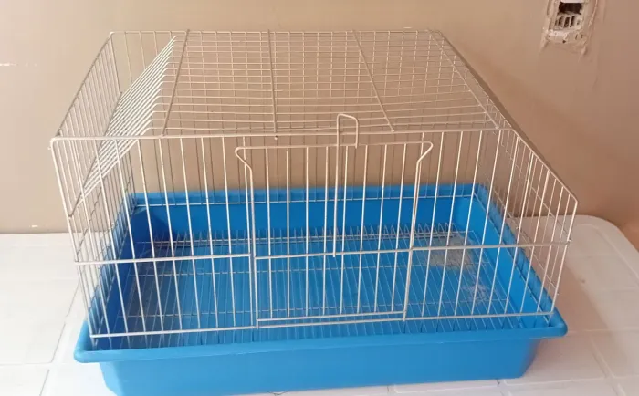 Gaiola coelho/porquinho da india azul