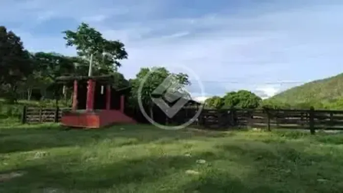 Fazenda à Venda em Cáceres-MT 406 Alqueires (982 ha) 85% Formada, Estruturada para Pecuá