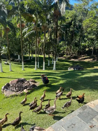 Sítio maravilhoso em Pedro de Toledo
