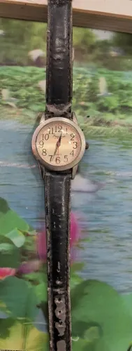 relógio de pulso vintage Precision by Gruen possui um mostrador 